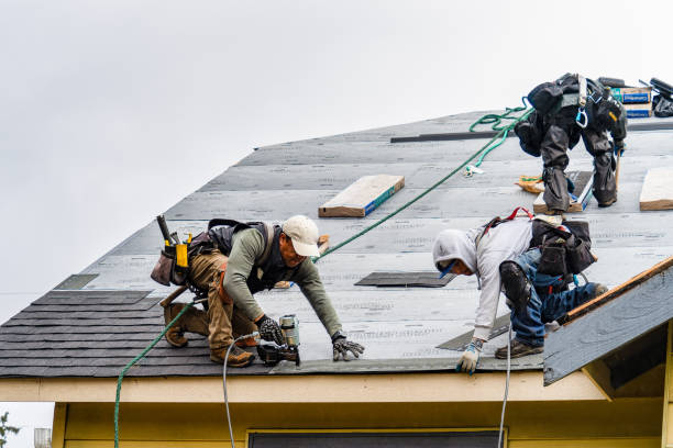 Professional Roofing technician working in Hadley, PA